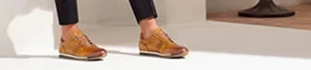 Magnanni model Schulte
