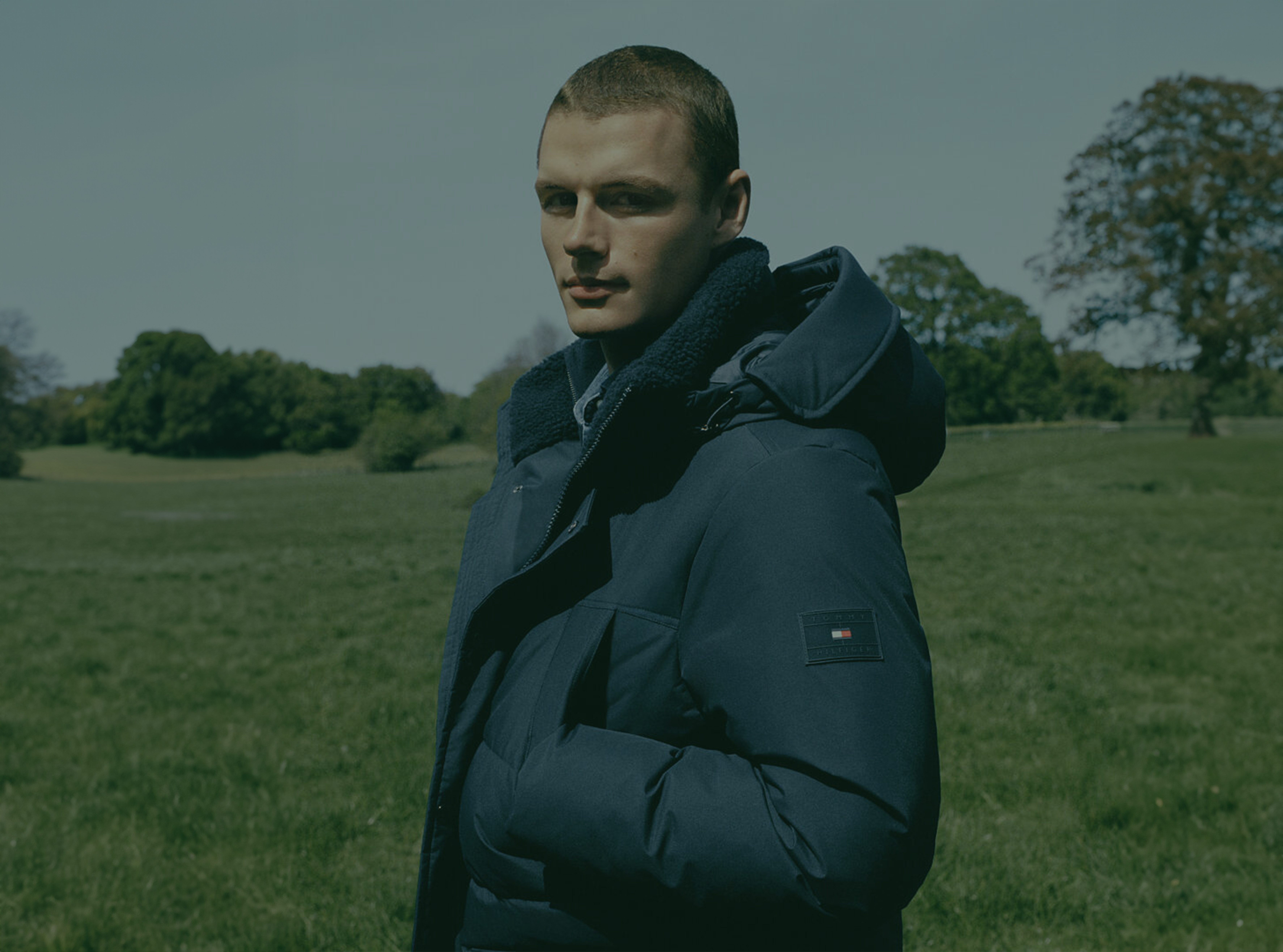 Tommy Hilfiger winterjassen