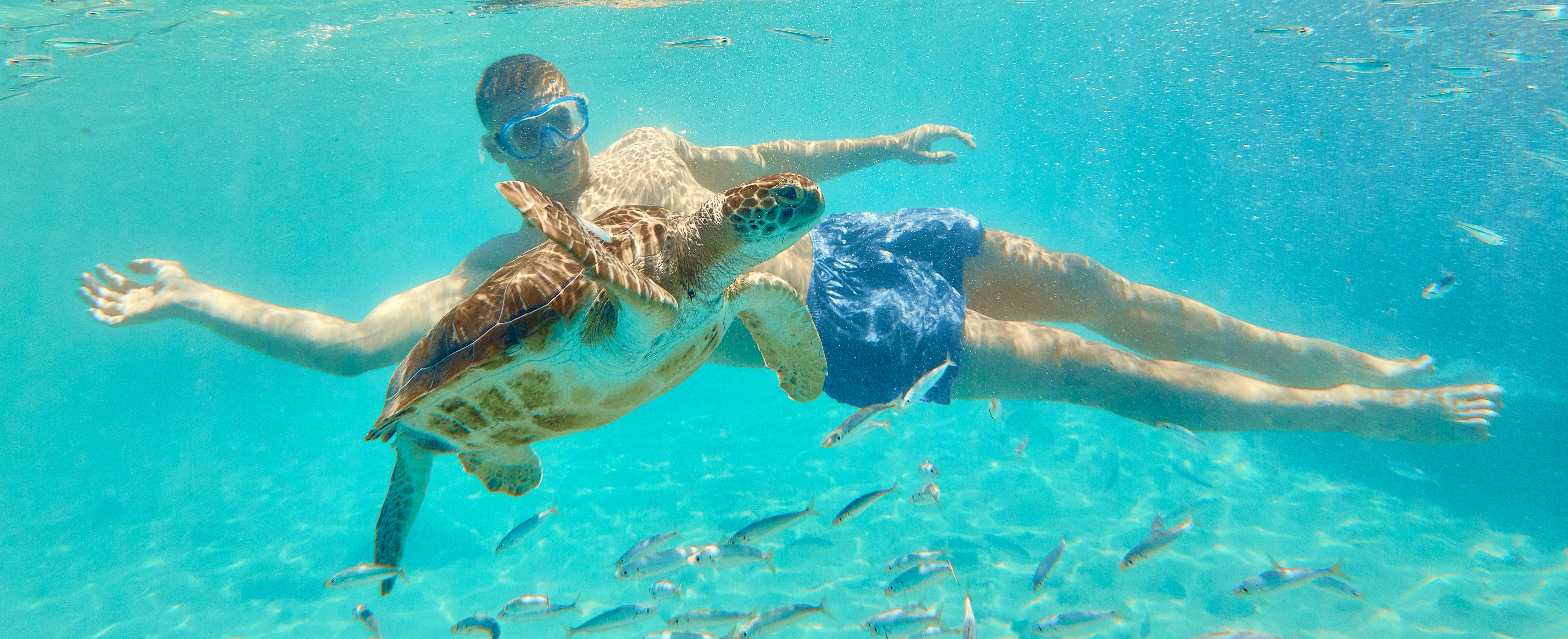 Airforce zwembroeken