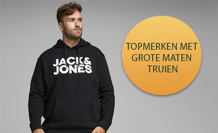 Grote maten Sweaters